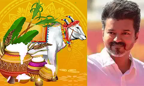 தமிழர் திருநாளில் தமிழகம் தலைநிமிர உறுதி ஏற்போம் - த.வெ.க. தலைவர் விஜய் பொங்கல் வாழ்த்து