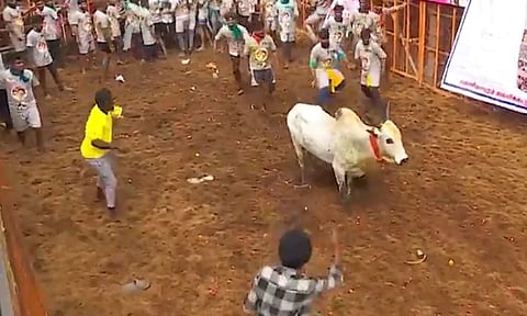 அனல் பறக்கும் அவனியாபுரம் ஜல்லிக்கட்டு: 12 பேருக்கு காயம்