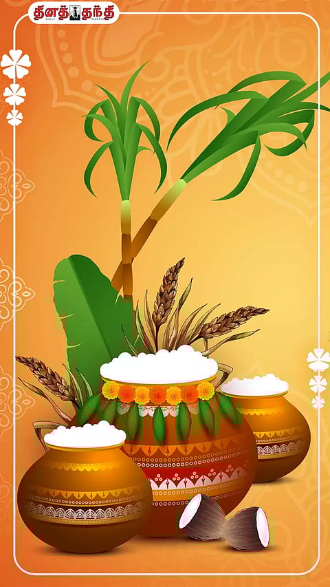 உலகம் முழுவதும் உள்ள தமிழர்கள் கொண்டாடும் பொங்கல் பண்டிகையின் சிறப்பு!