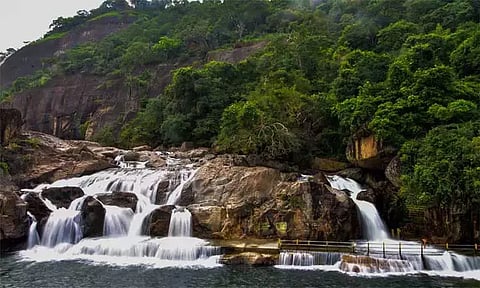 மணிமுத்தாறு அருவியில் சுற்றுலா பயணிகள் குளிக்க தடை