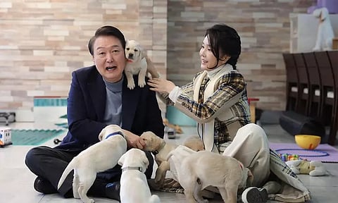 தென்கொரியாவில் நடப்பது என்ன? பதவி நீக்கம் செய்யப்பட்ட அதிபர் கைது - முழு விவரம்