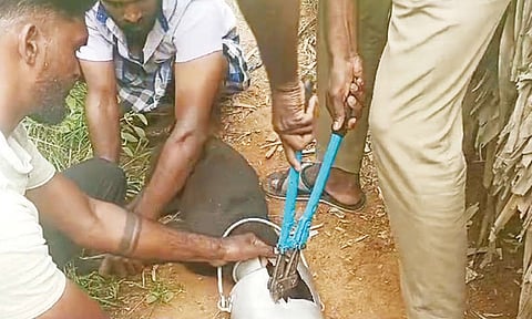 பால் கேனுக்குள் தலையை விட்டு மாட்டிக்கொண்ட நாய் பத்திரமாக மீட்பு