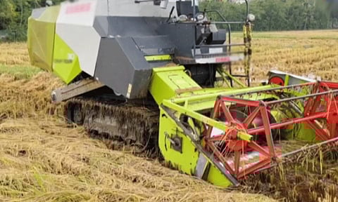 நெல் கொள்முதல் தொடர்பாக ஆய்வு: தமிழகம் வரும் மத்திய குழு