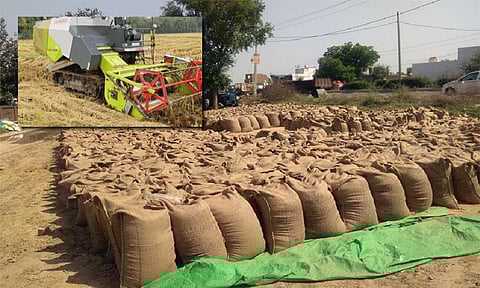 22 சதவீத ஈரப்பதத்துடன் நெல் கொள்முதல்: மத்தியக் குழு இன்று தமிழகம் வருகை