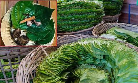 தாம்பூலம் போடுவதால் இத்தனை நன்மைகளா..?