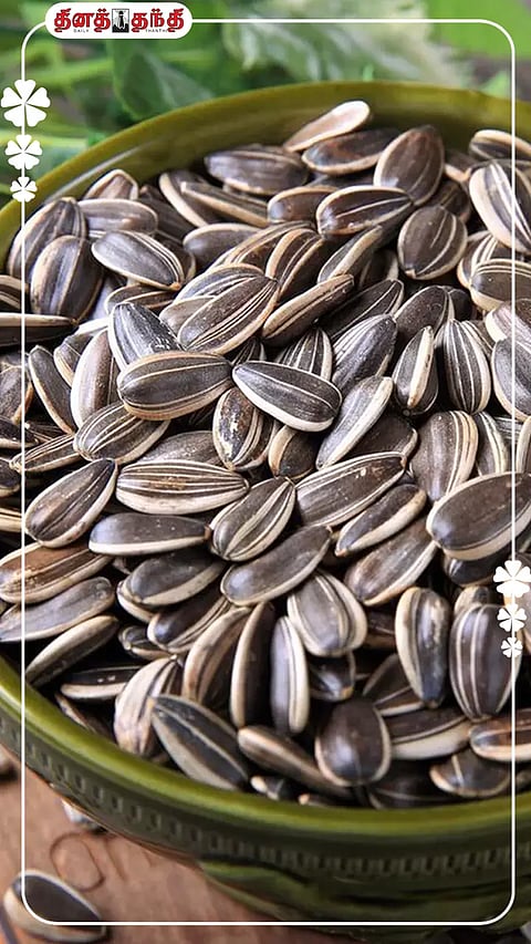 சூரியகாந்தி விதை சாப்பிடுவதால் கிடைக்கும் நன்மைகள்..!