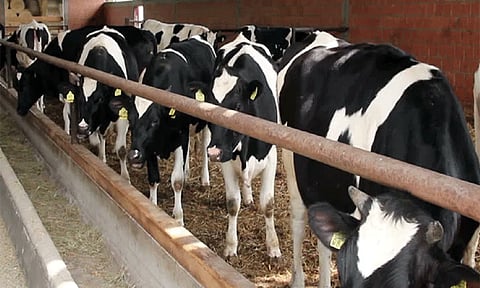 கோப்புப்படம்