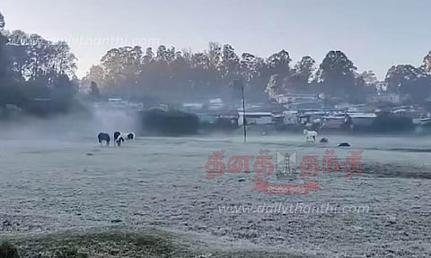 பிப்ரவரியில் பனிப்பொழிவின் தாக்கம் அதிகமாக இருக்கும் - தனியார் வானிலை ஆய்வாளர்கள் தகவல்