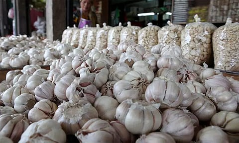 பூண்டு விலை அதிரடியாக குறைந்தது - இல்லத்தரசிகள் மகிழ்ச்சி