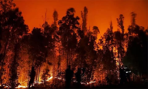 சிலியில் பற்றி எரியும் காட்டுத்தீ; அவசர நிலை பிரகடனம்