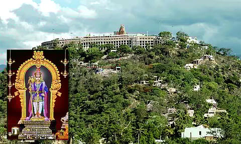 தைப்பூச திருவிழா: பழனியில் குவிந்துள்ள பக்தர்கள்