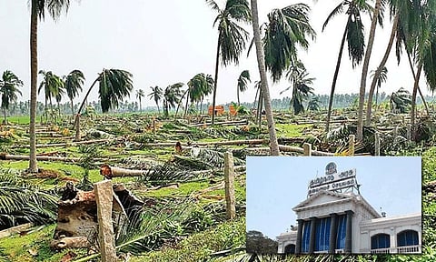 கஜா புயல் இழப்பீடு: பரிசீலிக்க தயார் - ஐகோர்ட்டில் தமிழ்நாடு அரசு தகவல்