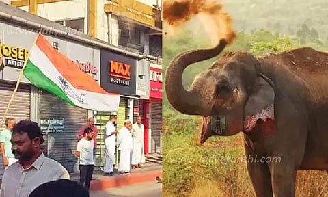 கேரளாவில் 2 நாட்களில் யானை தாக்கி 3 பேர் பலி – வயநாட்டில் முழு அடைப்பு போராட்டம்