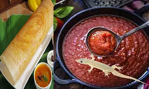 திருச்செந்தூர்: தக்காளி சட்னியில் பல்லி... 8 மாணவர்களுக்கு வாந்தி மயக்கம்