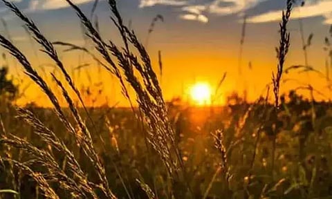 கோப்புப்படம் 