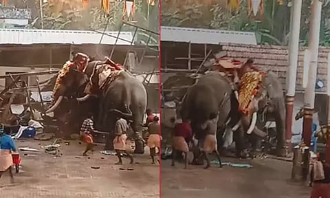 கேரளா: கோவில் திருவிழாவில் யானைகள் ஓடியதில் இறந்தவர்களின் குடும்பங்களுக்கு உதவித்தொகை அறிவிப்பு