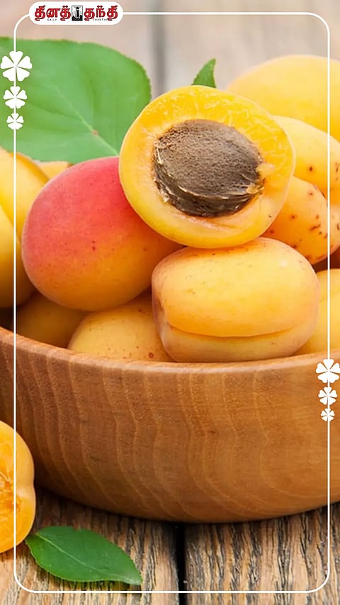 உச்சி முதல் பாதம் வரை ஆப்ரிகாட் பழத்தின் நன்மைகள்..!