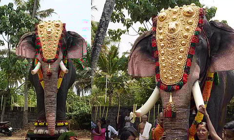 கேரள திருவிழாக்களில் தாக்குதல் விவகாரம்; இயந்திர யானைகளுக்கு கூடுகிறது மவுசு?
