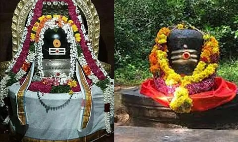 சிவராத்திரி நாளில் செய்ய வேண்டிய வழிபாடுகள் என்னென்ன?