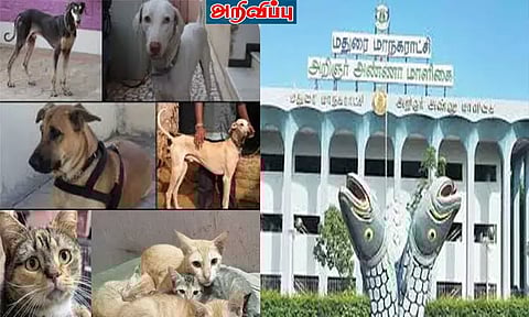 வீடுகளில் பறவை, விலங்குகள் வளர்க்க கட்டணம் விதிப்பு