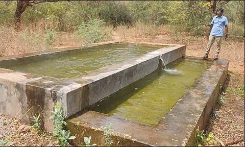 சிறுமுகை, மேட்டுப்பாளையத்தில் வனவிலங்குகளின் தாகம் தணிக்க தொட்டிகளில் தண்ணீர் நிரப்பும் பணி தீவிரம்