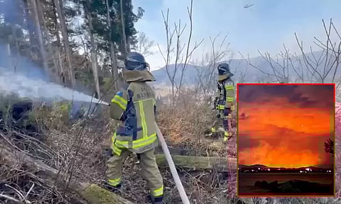 ஜப்பானில் காட்டுத்தீ: ஒருவர் பலி; 2 ஆயிரம் பேர் தப்பியோட்டம்