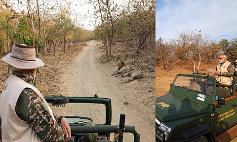 உலக வனவிலங்கு தினம்: குஜராத் கிர் தேசிய பூங்காவில் பிரதமர் மோடி லயன் சஃபாரி