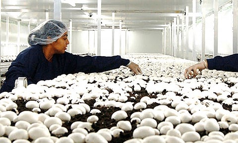 கோப்புப்படம்