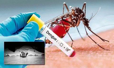 டெங்கு காய்ச்சலுக்கு 9-ம் வகுப்பு மாணவி உயிரிழந்த பரிதாபம்