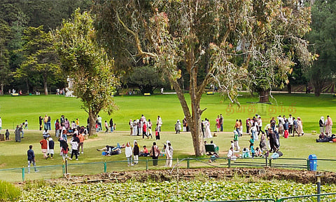 கோடை விழா: உதகையில் மலர் கண்காட்சி நடைபெறும் தேதி அறிவிப்பு