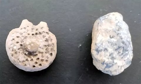 வெம்பக்கோட்டை அகழாய்வில் சுடுமண் பதக்கம், இரும்பு கண்டெடுப்பு