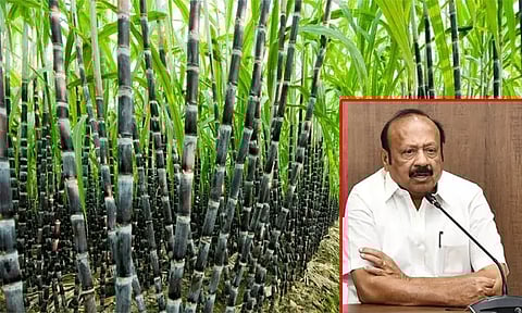 அடுத்த ஆண்டு கரும்புக்கான ஆதார விலை டன் ஒன்றுக்கு ரூ. 4,000 வழங்கப்படும்: அமைச்சர் தகவல்