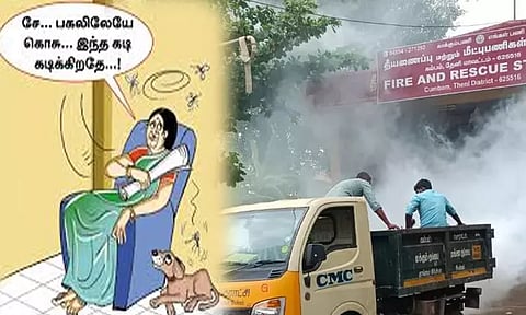 சென்னையில் புதிய வகை கொசுக்கள் ஊடுருவி இருக்கிறதா? மாநகராட்சி ஆய்வு