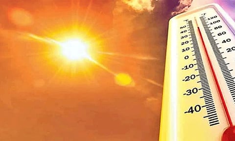 பேரிடர் பட்டியலில் வெயில் தாக்கத்தை சேர்க்க வேண்டும்: மத்திய அரசுக்கு நாடாளுமன்றக்குழு பரிந்துரை