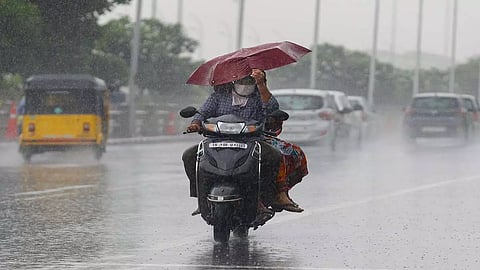 நெல்லை, தென்காசி மாவட்டங்களில் பலத்த மழை