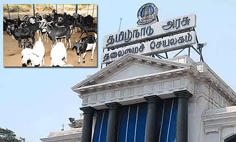 கால்நடை பண்ணை அமைக்க ரூ.50 லட்சம் கடன் - தமிழக அரசு அறிவிப்பு