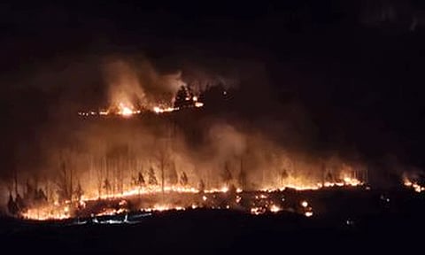 தென்கொரியாவில் பயங்கர காட்டுத்தீ: 4 பேர் பலி - பேரிடர் நிலை அறிவிப்பு