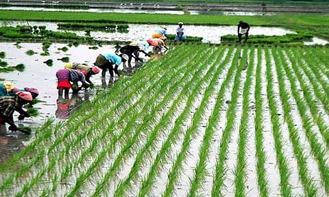 உழவரை தேடி வேளாண்மை திட்டம் மே மாதம் தொடங்குகிறது