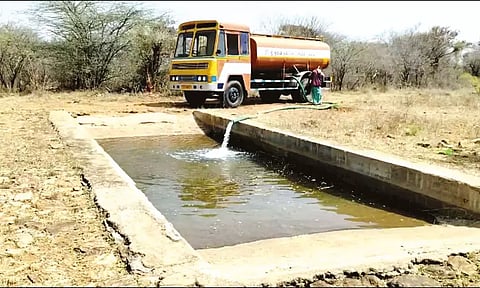 பவானிசாகர் வனப்பகுதியில் விலங்குகளின் தாகம் தீர்க்க குட்டைகளில் தண்ணீர் நிரப்பும் பணி தீவிரம்