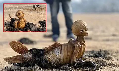 கடல் கன்னி போன்ற மர்ம உயிரினம்; ஆச்சரியத்தில் ஆழ்ந்த இங்கிலாந்து தம்பதி