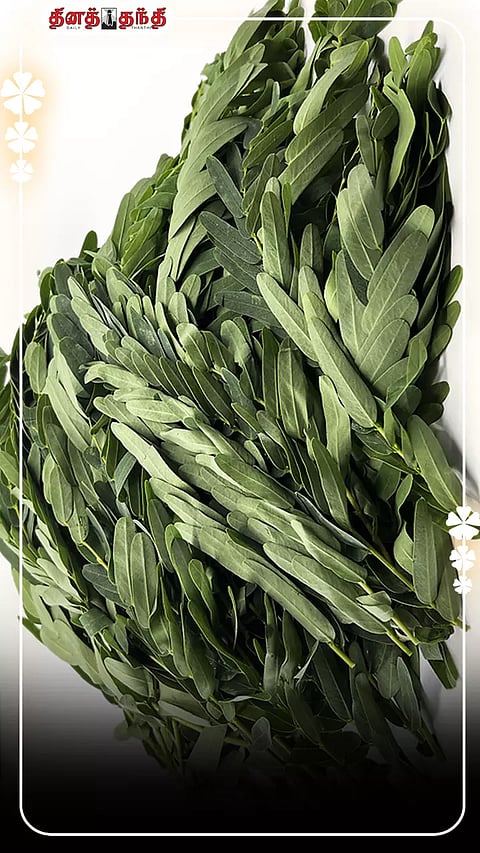 நன்மைகளை அள்ளி தரும் அகத்திக்கீரை..!