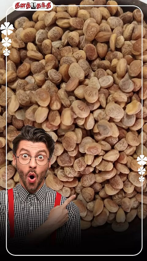 சாரைப் பருப்பு சாப்பிடுவதால் ஏற்படும் நன்மைகள்..!