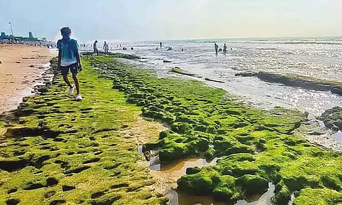 திருச்செந்தூரில் திடீரென உள்வாங்கிய கடல்