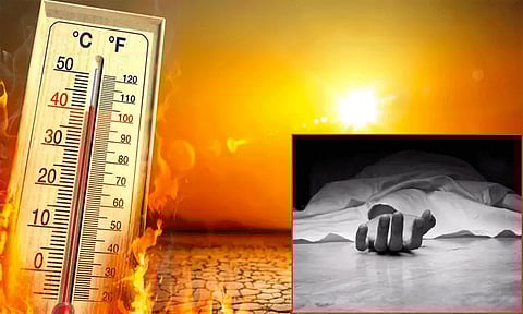 நெல்லை: சுட்டெரித்த வெயிலுக்கு தொழிலாளி மயங்கி விழுந்து உயிரிழப்பு