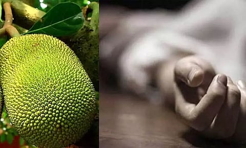 கோப்புப்படம் 