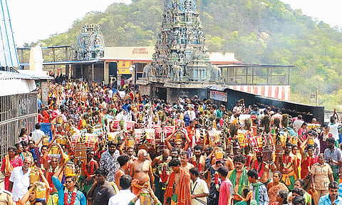 பங்குனி உத்திரம்: திருத்தணி முருகன் கோவிலில் திரளான பக்தர்கள் சாமி தரிசனம்