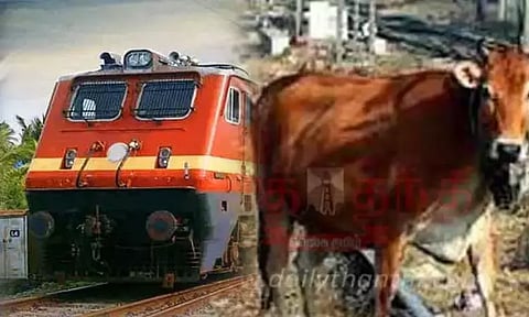 13 cows run over by train in Kerala's Palakkad