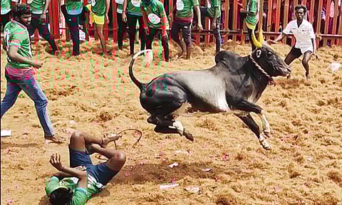 பூலாம்பாடி ஜல்லிக்கட்டு போட்டி: 45 பேர் காயம்