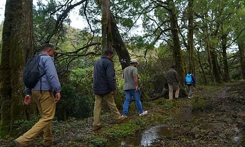 வனத்தீ பருவகாலம் முடிவு: தமிழ்நாட்டில் மீண்டும் மலையேற்றங்கள் தொடக்கம்