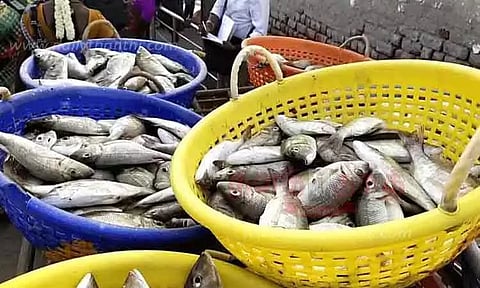 கோப்புப்படம் 